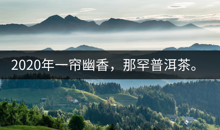 2020年一簾幽香，那罕普洱茶。-易武中聘號
