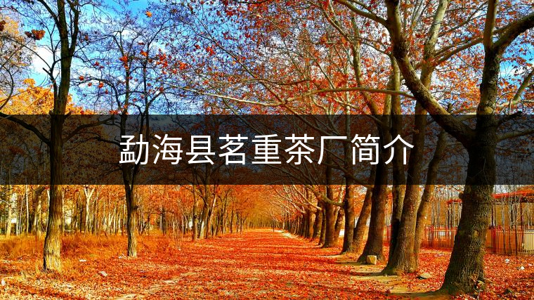 勐?？h茗重茶廠簡介