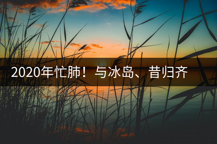 2020年忙肺！與冰島、昔歸齊名的普洱茶，到底是什么味道？-易武中聘號