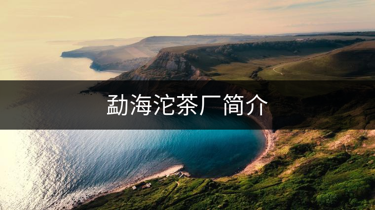 勐海沱茶廠簡介 勐海沱茶廠簡介