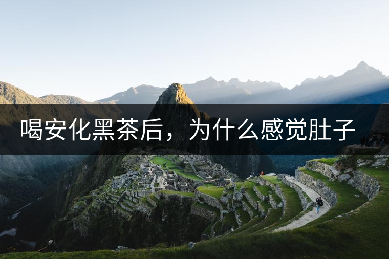 喝安化黑茶后，為什么感覺肚子餓的快？