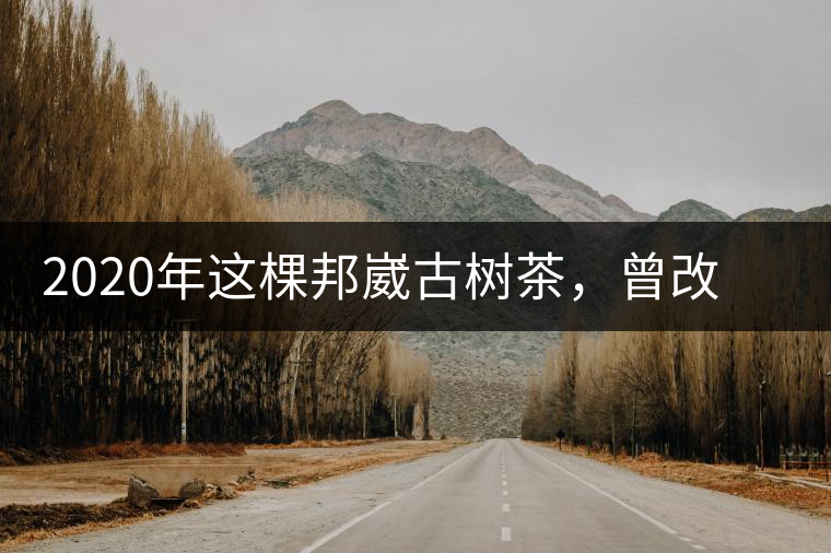2020年這棵邦崴古樹茶，曾改寫普洱茶歷史！-易武中聘號(hào)