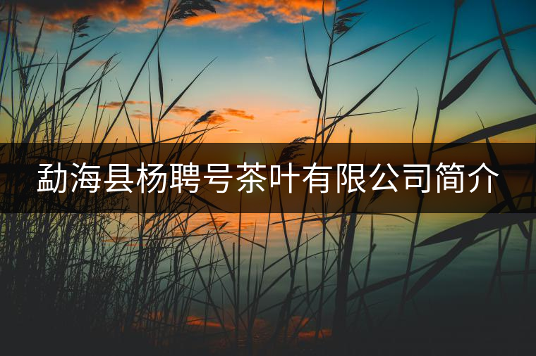 勐?？h楊聘號茶葉有限公司簡介