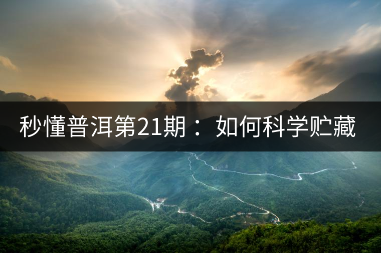 秒懂普洱第21期 ：如何科學貯藏普洱茶？