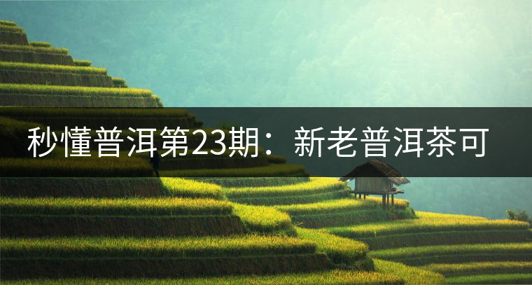 秒懂普洱第23期：新老普洱茶可以放到一起嗎？
