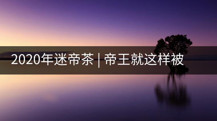 2020年迷帝茶 | 帝王就這樣被迷住了？-易武中聘號(hào)