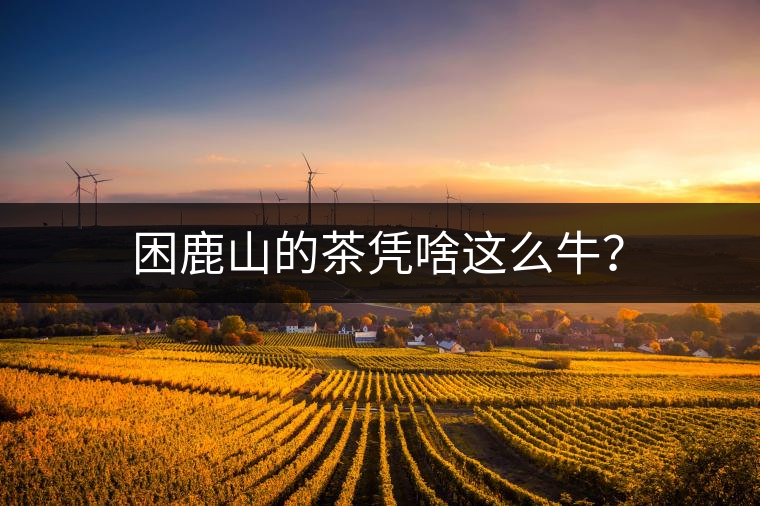 困鹿山的茶憑啥這么牛？