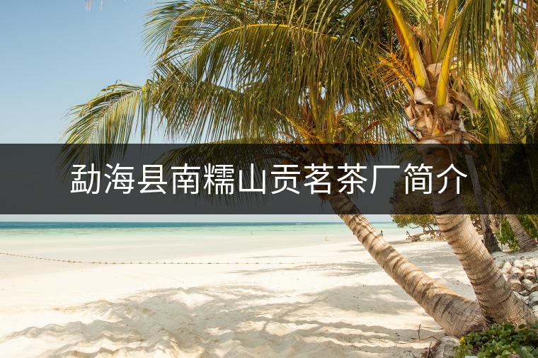 勐?？h南糯山貢茗茶廠簡介