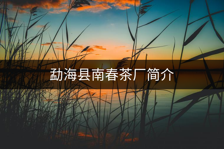 勐?？h南春茶廠簡(jiǎn)介
