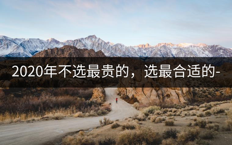 2020年不選最貴的，選最合適的-無量山古樹茶 |-易武中聘號