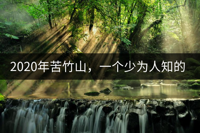 2020年苦竹山，一個少為人知的后起之秀！-易武中聘號