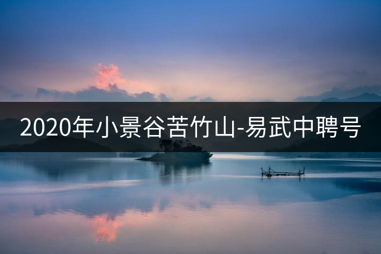 2020年小景谷苦竹山-易武中聘號(hào)