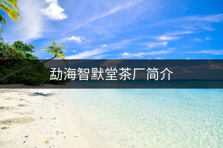 勐海智默堂茶廠簡(jiǎn)介