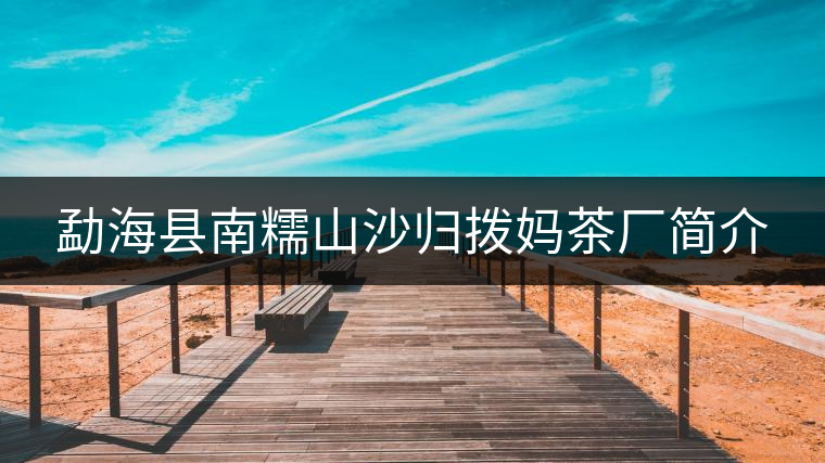 勐?？h南糯山沙歸撥媽茶廠簡介