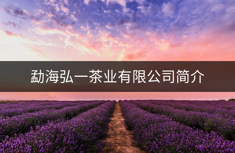 勐海弘一茶業(yè)有限公司簡(jiǎn)介