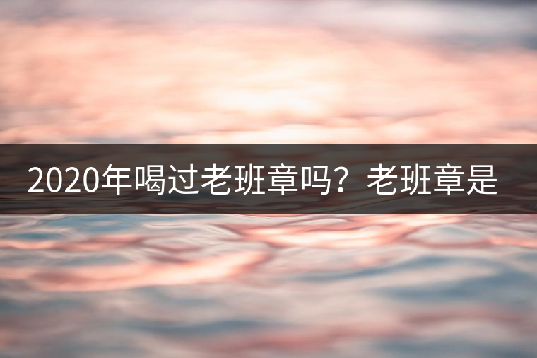 2020年喝過老班章嗎？老班章是什么味道？-易武中聘號