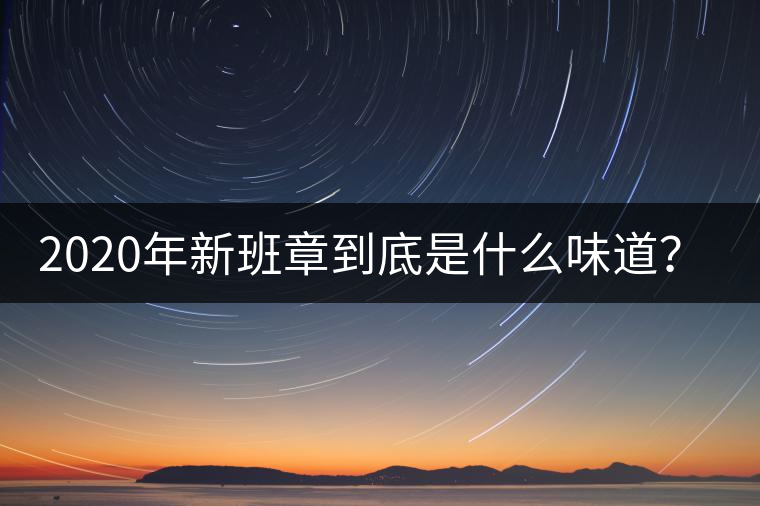 2020年新班章到底是什么味道？-易武中聘號(hào)
