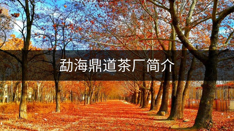 勐海鼎道茶廠簡(jiǎn)介 勐海鼎道茶廠簡(jiǎn)介