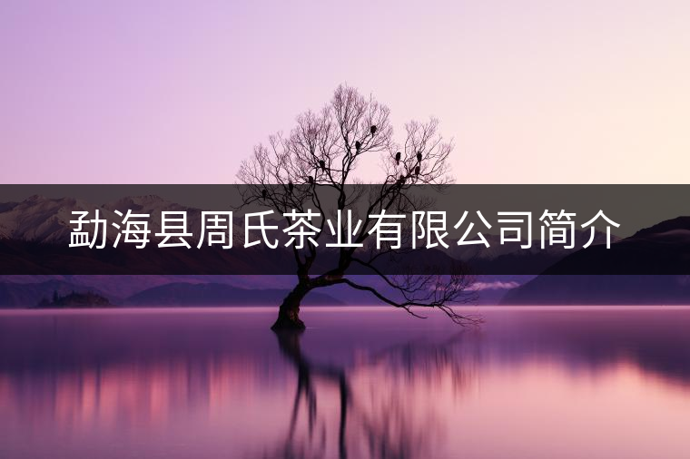 勐?？h周氏茶業(yè)有限公司簡(jiǎn)介