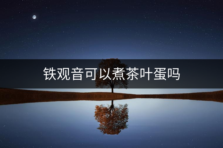 鐵觀音可以煮茶葉蛋嗎