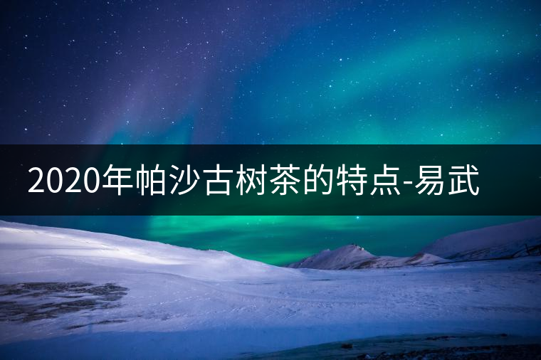 2020年帕沙古樹茶的特點-易武中聘號 2020年帕沙古樹茶的特點-易武中聘號