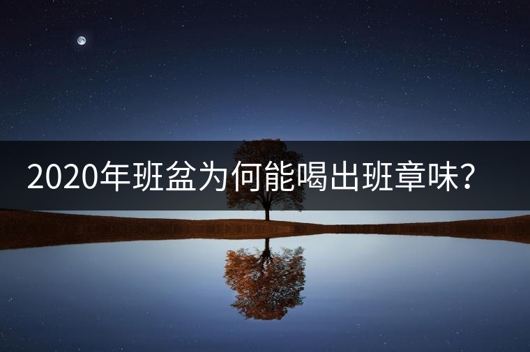 2020年班盆為何能喝出班章味？-易武中聘號