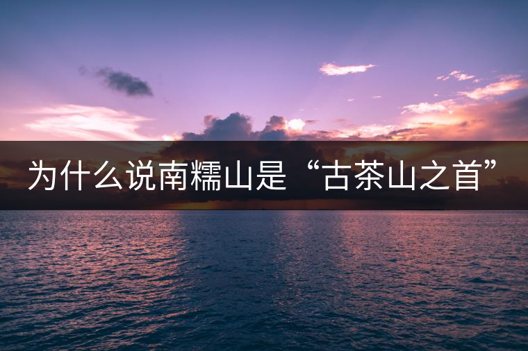 為什么說南糯山是“古茶山之首”？