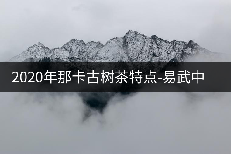 2020年那卡古樹茶特點(diǎn)-易武中聘號(hào)