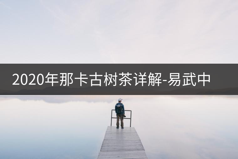 2020年那卡古樹(shù)茶詳解-易武中聘號(hào) 2020年那卡古樹(shù)茶詳解-易武中聘號(hào)