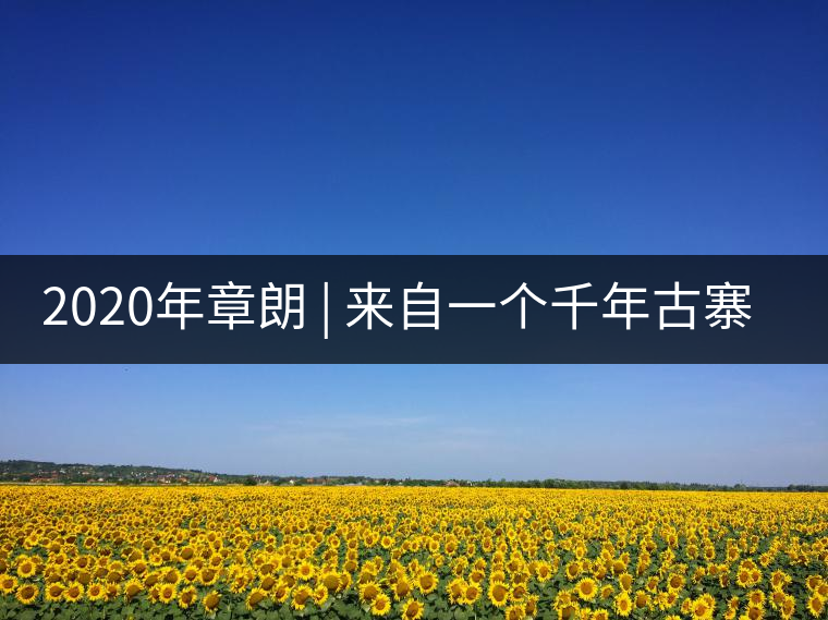 2020年章朗 | 來(lái)自一個(gè)千年古寨的古樹(shù)茶 -易武中聘號(hào)