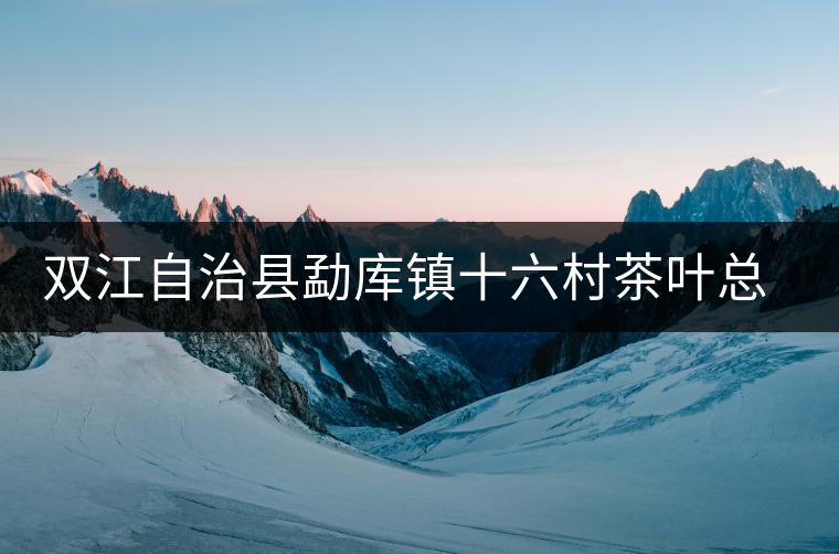 雙江自治縣勐庫鎮(zhèn)十六村茶葉總匯元夢茶廠簡介