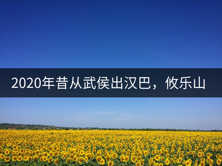 2020年昔從武侯出漢巴，攸樂(lè)山中只種茶。-易武中聘號(hào)