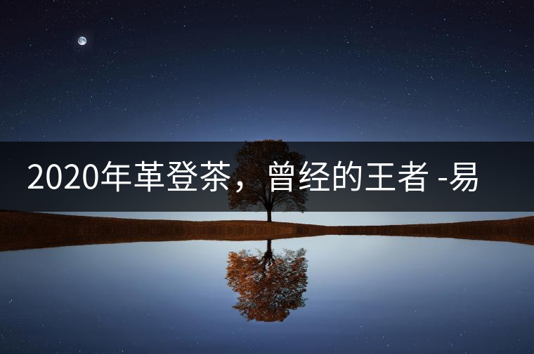 2020年革登茶，曾經(jīng)的王者 -易武中聘號(hào)