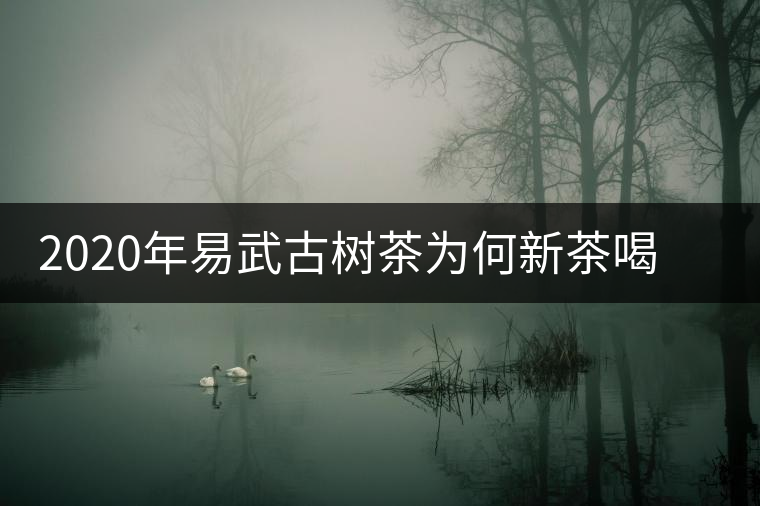 2020年易武古樹(shù)茶為何新茶喝時(shí)淡卻越放越濃？-易武中聘號(hào)