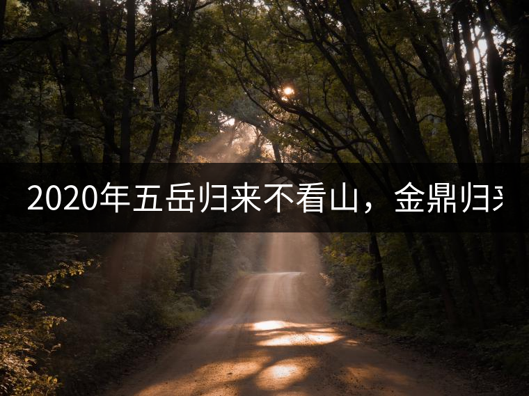 2020年五岳歸來(lái)不看山，金鼎歸來(lái)不看茶   -易武中聘號(hào)