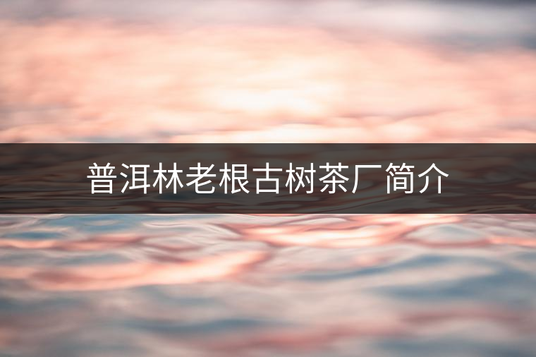 普洱林老根古樹茶廠簡(jiǎn)介 普洱林老根古樹茶廠簡(jiǎn)介