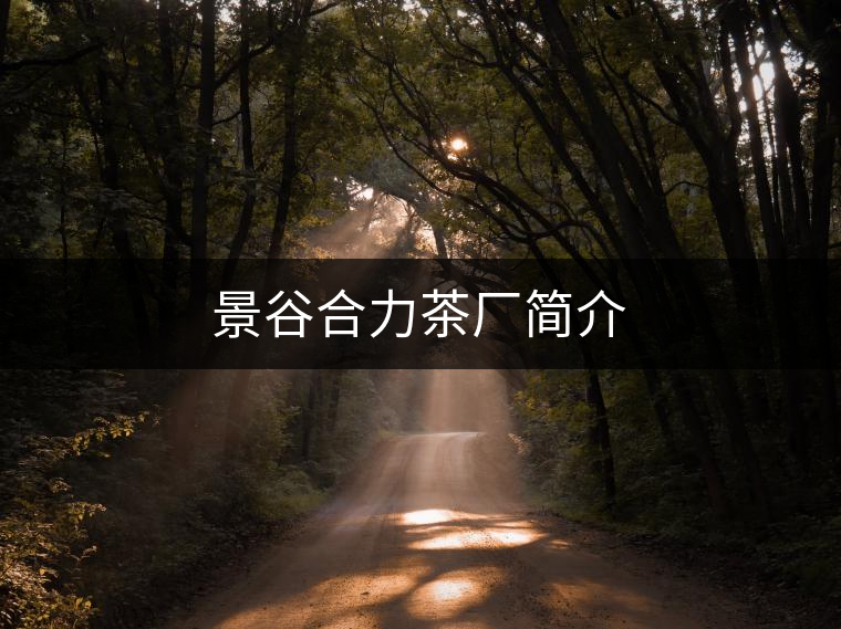 景谷合力茶廠簡(jiǎn)介