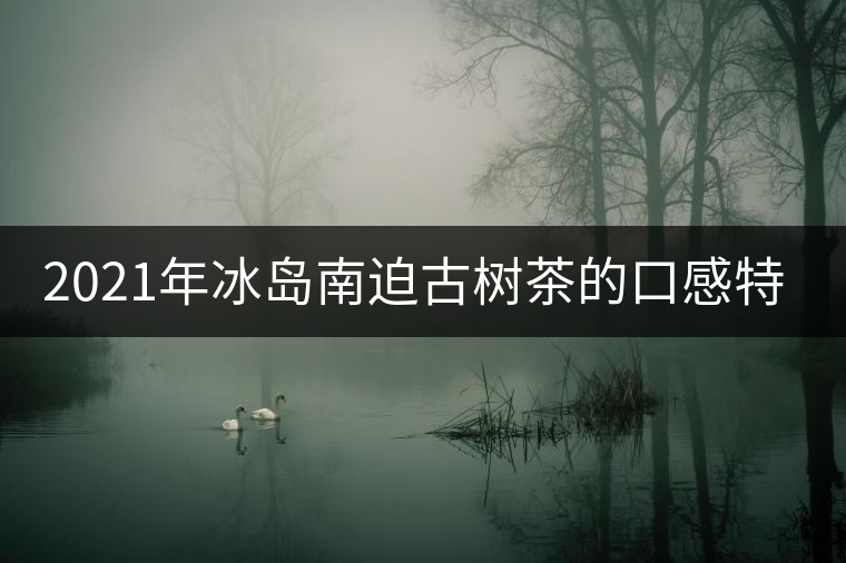 2021年冰島南迫古樹(shù)茶的口感特點(diǎn)！