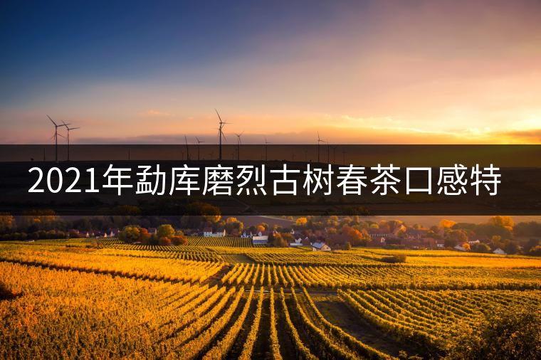 2021年勐庫磨烈古樹春茶口感特點(diǎn)是什么？