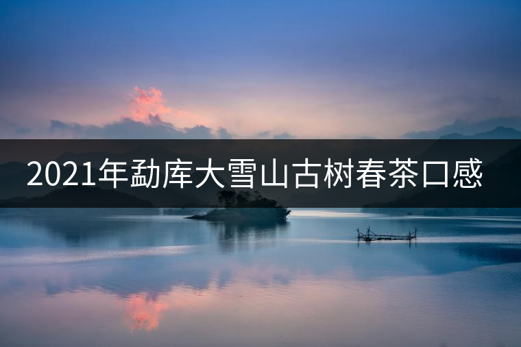 2021年勐庫大雪山古樹春茶口感特點？