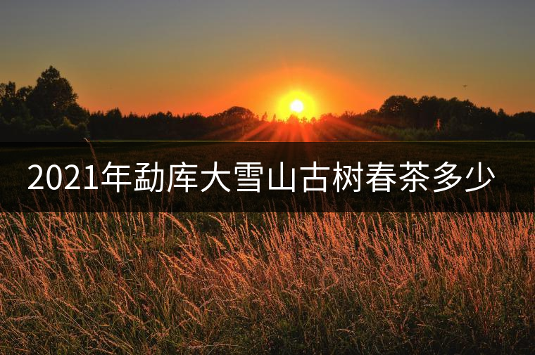 2021年勐庫大雪山古樹春茶多少錢一公斤？