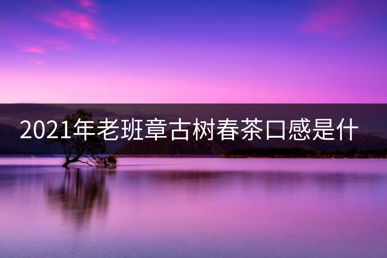 2021年老班章古樹春茶口感是什么？