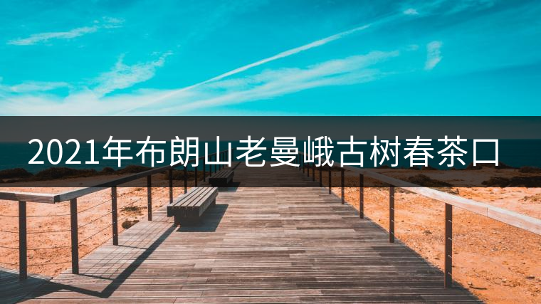 2021年布朗山老曼峨古樹春茶口感特點？