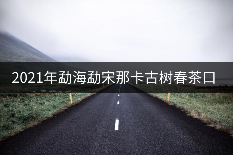 2021年勐海勐宋那卡古樹春茶口感？