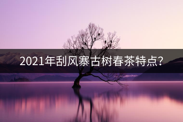 2021年刮風(fēng)寨古樹春茶特點(diǎn)？