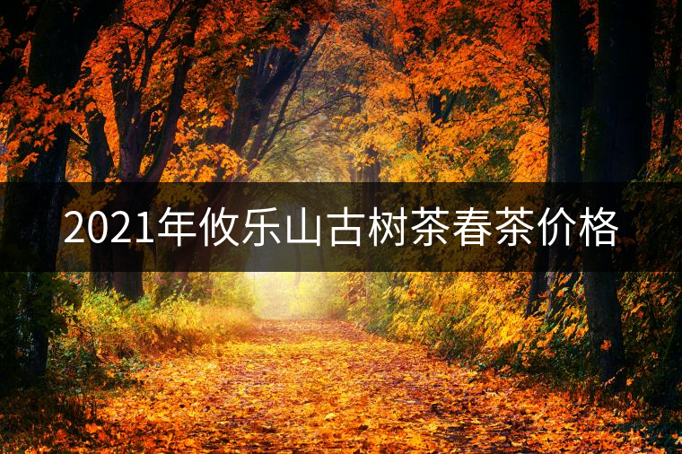 2021年攸樂(lè)山古樹(shù)茶春茶價(jià)格