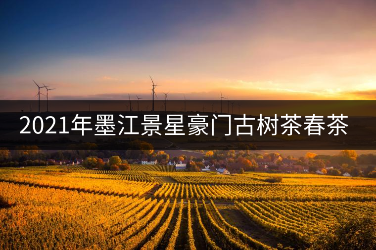 2021年墨江景星豪門古樹茶春茶價(jià)格多少錢一斤？