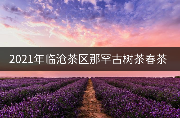 2021年臨滄茶區(qū)那罕古樹茶春茶多少錢一公斤？