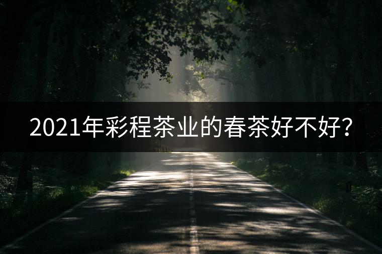 2021年彩程茶業(yè)的春茶好不好？