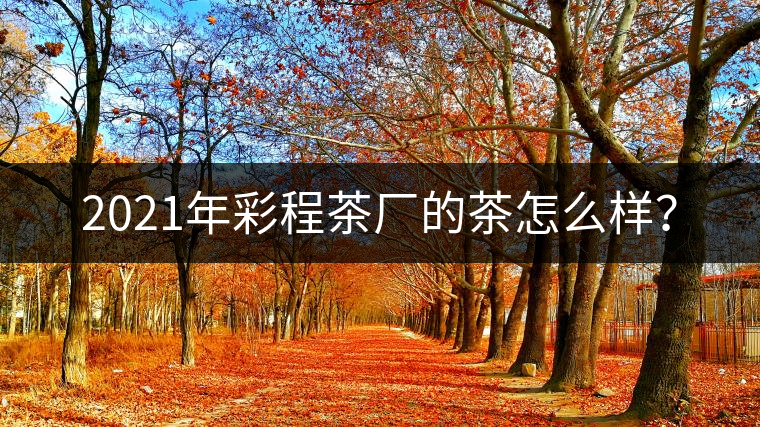 2021年彩程茶廠的茶怎么樣？